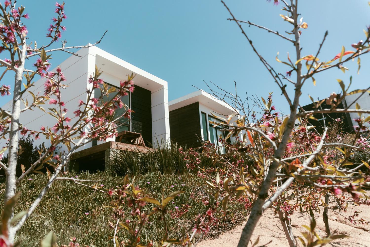 La Cima Del Valle Valle de Guadalupe Exterior foto